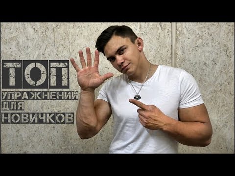 Видео: ТОП 5 УПРАЖНЕНИЙ ДЛЯ НОВИЧКА В АРМРЕСТЛИНГЕ