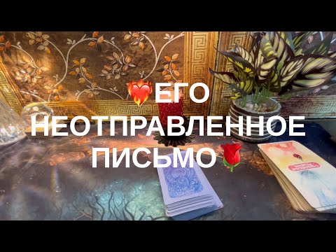 Видео: 12 ноября 2025 г.