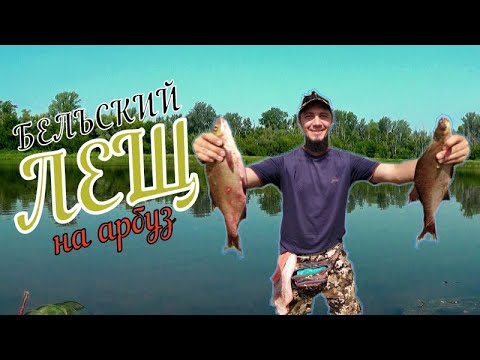 Видео: рыбалка на закидушки 🐊 / ЛОВЛЯ КРУПНОГО ЛЕЩА🐟🐟🐟 НА РЕКЕ БЕЛАЯ