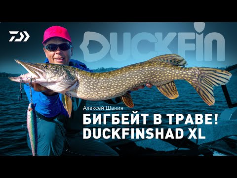 Видео: БИГБЕЙТ В ТРАВЕ x DUCKFIN SHAD XL x Алексей Шанин