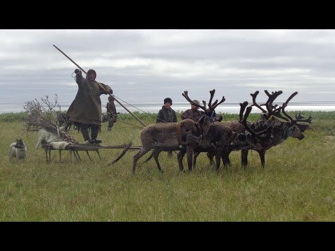 Видео: Земля поморов северный поход . Беломорская авантюра на катамаране Необузданный к мысу Канин Нос