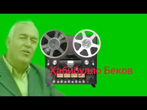 Видео: Ғазалҳои Ҳабибулло Беков