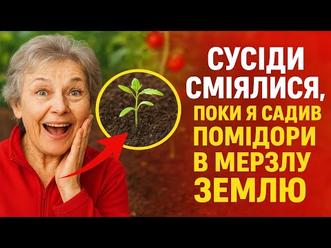 Видео: Сусіди сміялися, поки я садив помідори в мерзлу землю. А тепер вони просять моє насіння.