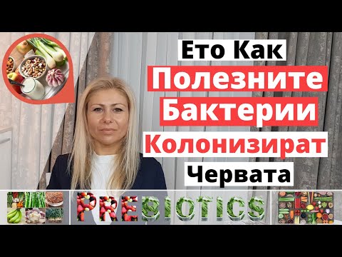 Видео: Ето Как Полезните Бактерии Колонизират Червата (Пребиотични Храни, Които Да Консумирате)