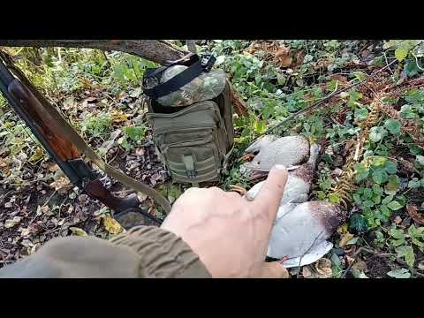 Видео: Охота на уток/Первый заморозок