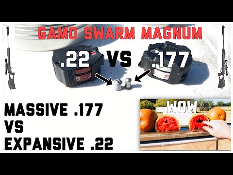 Видео: .177 Cal против .22 Cal Gamo Swarm Magnum Challenge | Сравнение самых больших .177 и самых широки...
