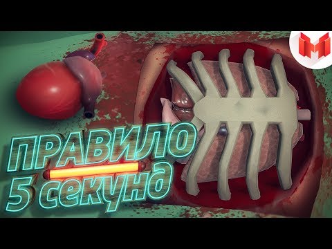 Видео: Правило 5 секунд (VR)