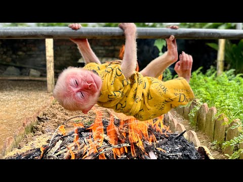 Видео: Огонь был настолько широким и высоким, что Хаки едва мог спастись!!!