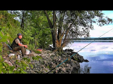 Видео: И НАЧАЛОСЬ ТАКОЕ...! КТО МОГ ПОДУМАТЬ! Один на берегу с ночёвкой.