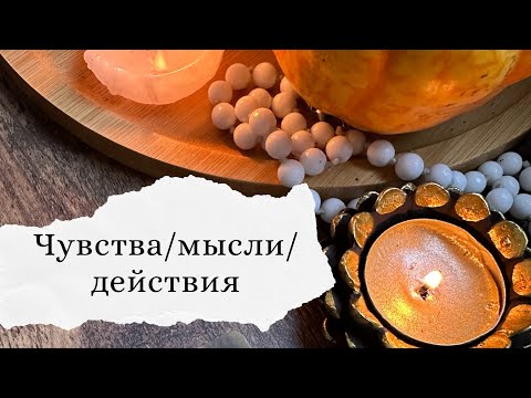 Видео: Чувства/мысли/действия