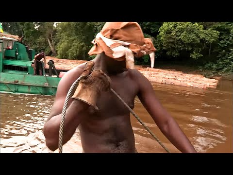 Видео: Габон: Проклятый лес | Дороги невозможного