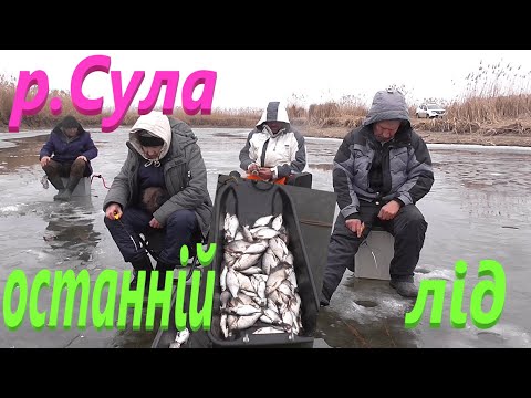 Видео: #Сула # Наловили повні санчата риби #РибачуЯкУмію