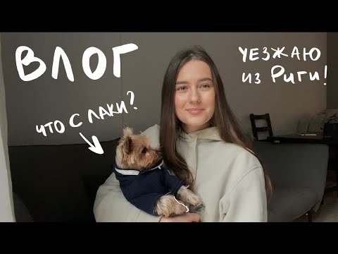 Видео: Куда Уезжаю без Обратного Билета, Покупки на Чёрную Пятницу, Рижские Будни