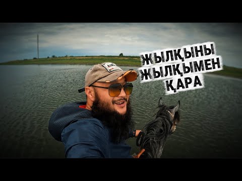 Видео: Жылқышы жылқыны жылқымен қарау керек.