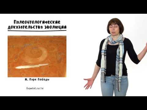 Видео: Эволюция - 4. Механизмы эволюции, часть 1. 10 - 11 класс
