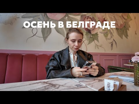 Видео: еще одна неделя в Белграде: меняю водительские права, Миядзаки и красивый город