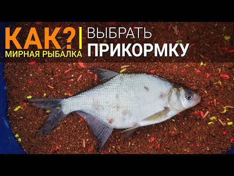 Видео: Как выбрать прикормку?