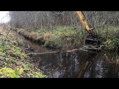 Видео: Разбираем бобровую запруду Длинноруким экскаватором