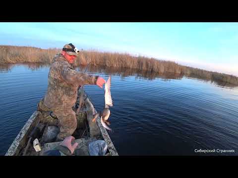 Видео: Вечерка на болотоходе. Охота в Сибири.