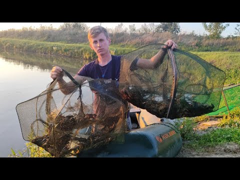 Видео: Раколовки  полные Раков , раки ловятся,рыба коптится ...
