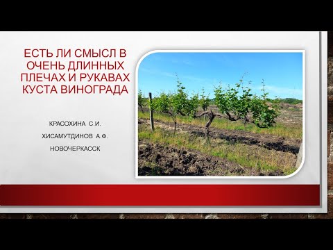 Видео: Нужно ли делать очень длинные плечи и рукава@Krasokhina