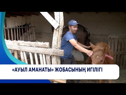 Видео: «Ауыл аманаты» жобасының игілігі