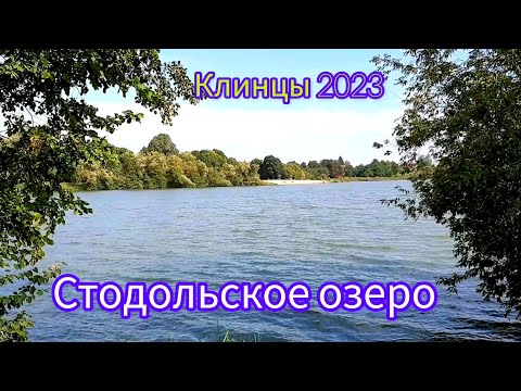 Видео: #бродилки / г.Клинцы, лес, Стодольское озеро