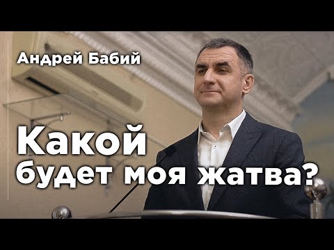 Видео: Какой будет моя жатва? | Андрей Бабий