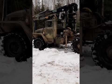 Видео: погрузка и вывозка леса.урал лесовоз