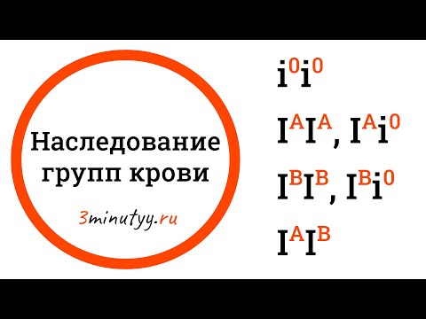 Видео: Наследование групп крови, кодоминирование, множественный аллелизм