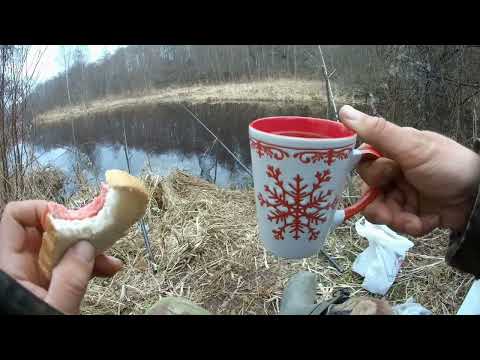 Видео: Ловля плотвы и у клеи на болонские удочки и донку.
