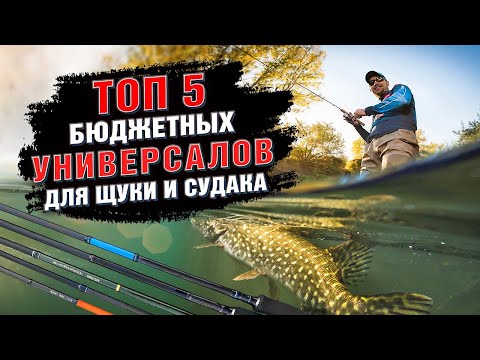 Видео: Топ 5 бюджетных универсальных спиннигов на судака и щуку!