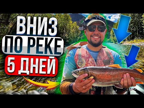 Видео: Нашли следы медведя! Сплав по реке! Хариус.