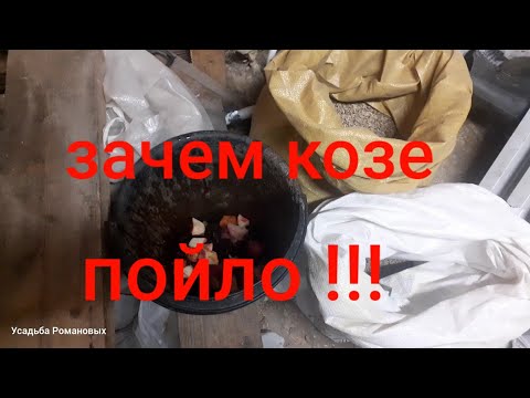 Видео: Пойло для козы,повышает надой.