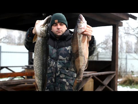 Видео: ИДЕАЛЬНАЯ ЗАКУСКА. ХЕ ИЗ СУДАКА И ЩУКИ