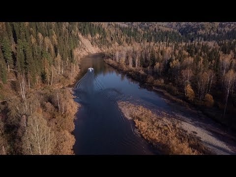 Видео: Осенняя Рыбалка в Горах Сибири. Хариус. Таймень. Ленок. Первый Нахлыстовый Опыт