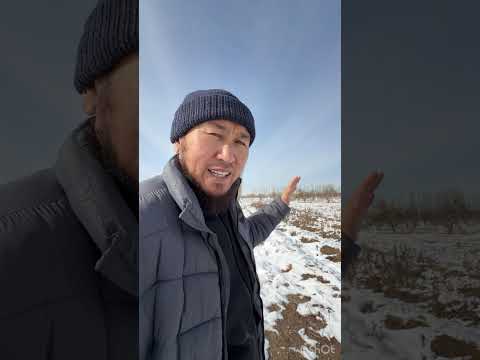 Видео: Кирешелүү тынч бизннс сатылат