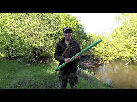 Видео: Чистые берега