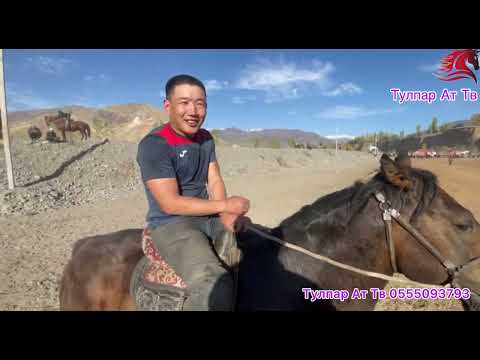 Видео: 2-Болум Бору Ата, Ат майданы. Кара-Кулжа Району, Бору айылы.🔥🇰🇬
