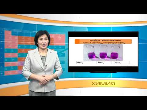 Видео: 24-сабак