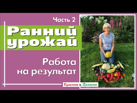 Видео: Ранний урожай. Работаем на результат Ч2