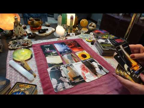 Видео: Вы их ещё никогда не видели ТАКИМИ! НАКОНЕЦ-ТО В ПОЛНОЙ МОЩИ! Они НАМЕРЕННО разрушают их жизни!