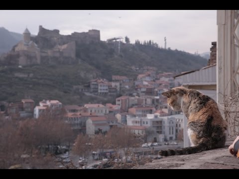 Видео: Новый год в Тбилиси часть 1