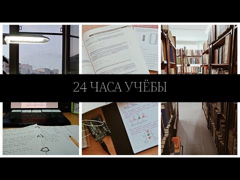 Видео: 24 часа учебы!