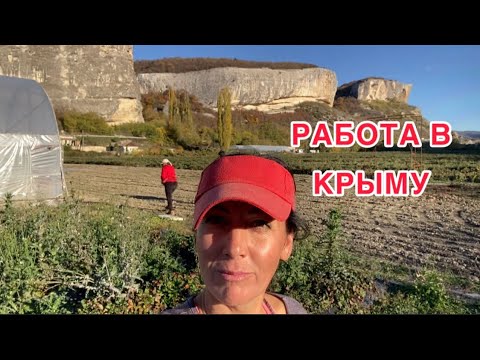 Видео: Работаем в теплице/ цапаем асфальт 😂/ сажаем клубнику 