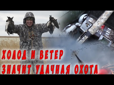 Видео: Холодная ночь в теплой палатке и супер охота на северную утку