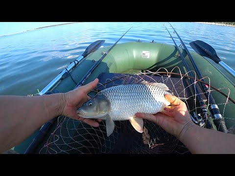 Видео: Как найти и поймать карпа.Рыбалка на Треустане.