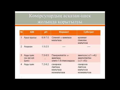 Видео: Көмірсулардың қорытылуы және сіңірілуі