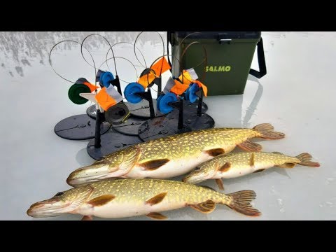 Видео: ТРОФЕЙНАЯ ЩУКА на ЖЕРЛИЦЫ СРАБОТКА за СРАБОТКОЙ + подводное видео