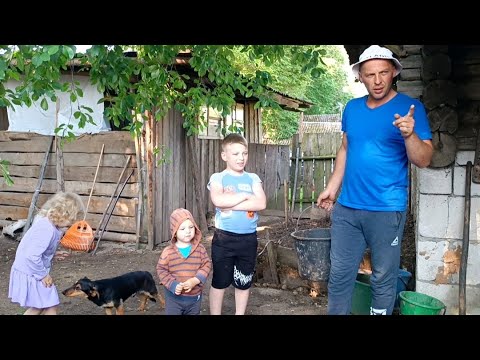 Видео: Как дела на рынке. Пополнение в хозяйстве. Мы в работе